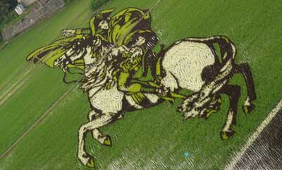 Japanese Rice Field Art