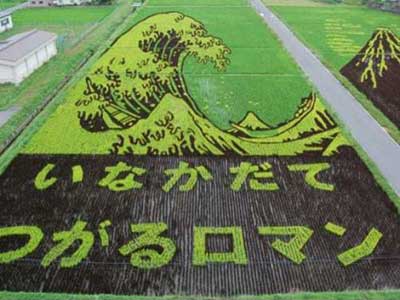 Japanese Rice Field Art