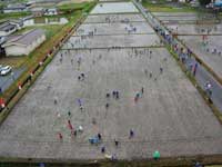 Japanese Rice Field Art