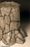 Human/ Nature: High School Scholarship Exhibition