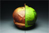 Don Reitz & Ben Roti: tran•si•tions