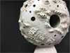 Joan Takayama-Ogawa: Climate Change