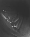 Adding to the Mix 5: Hiroshi Sugimoto's "Lightning Fields no. 176" (2009)