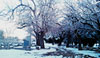 Back to Life: The Community of Historic Fairview Cemetery