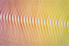 Gabriel Dawe: Plexus no. 34