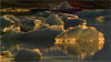 Persons, Places and Things, Cinema-graphic Meditations