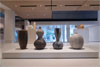Forces of Nature: Ceramics from the Hayes Collection
