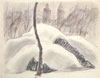 Fiore / Drawing