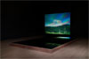 Moving Stillness: Mount Rainier, 1979