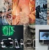 The 2012 Master of Fine Arts Exhibition