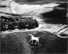 Heightened Perspectives: Marilyn Bridges