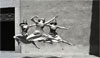 Seen & Unseen: Photographs by Imogen Cunningham