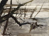 Abstract Flash: Unseen Andrew Wyeth