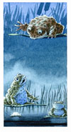 Drawing From a Story: Illustrations by Select Caldecott Medal Winners