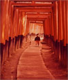 Theodore Nierenberg: Photographs from His World Travels