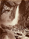 CARLETON WATKINS: THE STANFORD ALBUMS