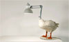 Sebastian Errazuriz: Look Again