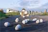 White Cube, Green Maze: New Art Landscapes