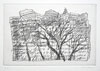 Vijay Kumar: Etchings, A Retrospective