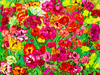 Laurie Blum: My Inner Garden