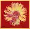 Andy Warhol’s Flowers