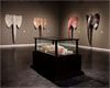 Wendy Maruyama: The wildLIFE Project