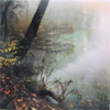 Radnor Lake: The Photography of Lisa Ernst