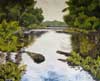 Forest and Field: Paintings by Patty Halbeck