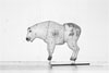 Alec Soth: Colorado Dispatch