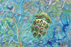 Aqua-Terra / Terra-Aqua