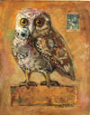 Top Choice Exhibition