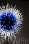 Chihuly at Frederik Meijer Gardens & Sculpture Park: A New Eden