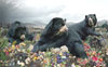 Simen Johan: Until the Kingdom Comes