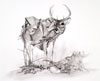Metamorphoses: Drawings by Erin Anfinson, Kristi Hargrove, Mark Hosford, and Chris Scarborough