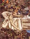 Vik Muniz: Garbage Matters