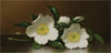 Local Color: Martin Johnson Heade Paintings from the Collection of Deen Day Sanders