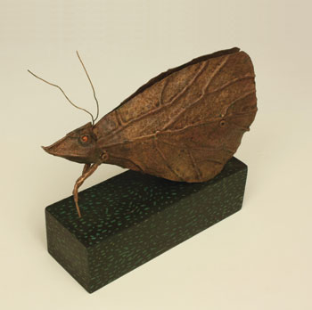 Plant Hopper, 2012