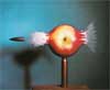 THE HIGH-SPEED PHOTOGRAPHY OF HAROLD "DOC" EDGERTON