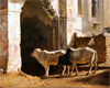 QUALITIES OF LIGHT II