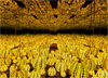 Yayoi Kusama: Infinity Mirrors