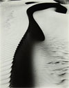 Brett Weston