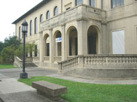NOMA