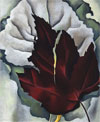 Georgia O’Keeffe:Pattern of Leaves