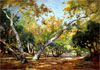 Sunlightand Shadow: The Tradition of Plein Air Painting