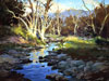 California Impressionism: Selections from The Irvine Museum