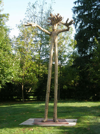 Pine Man, 2006
