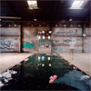 Larry & Ladonna Was Here: The Artist-Collector Relationship