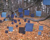 Fields of Indigo: Installation by Rowland Ricketts with Sound by Norbert Herber