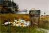 A Sense of Place: Paintings by Ranulph Bye