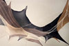 Scholastic Art & Writing Awards